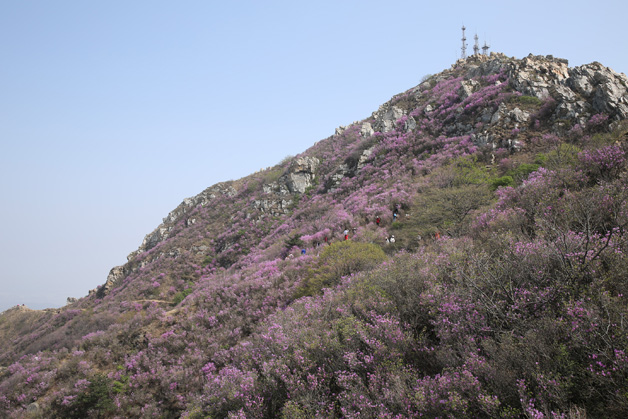 永信贵宾会217·(中国区)官网