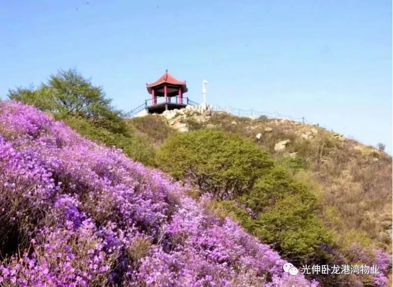 永信贵宾会217·(中国区)官网