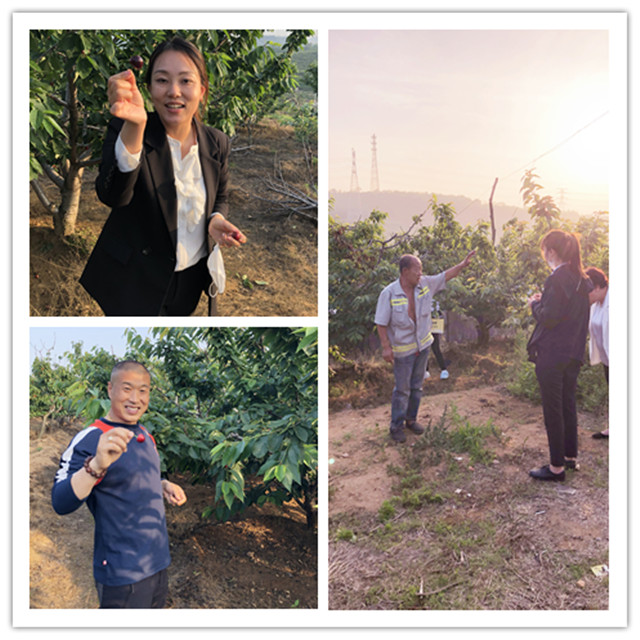 永信贵宾会217·(中国区)官网