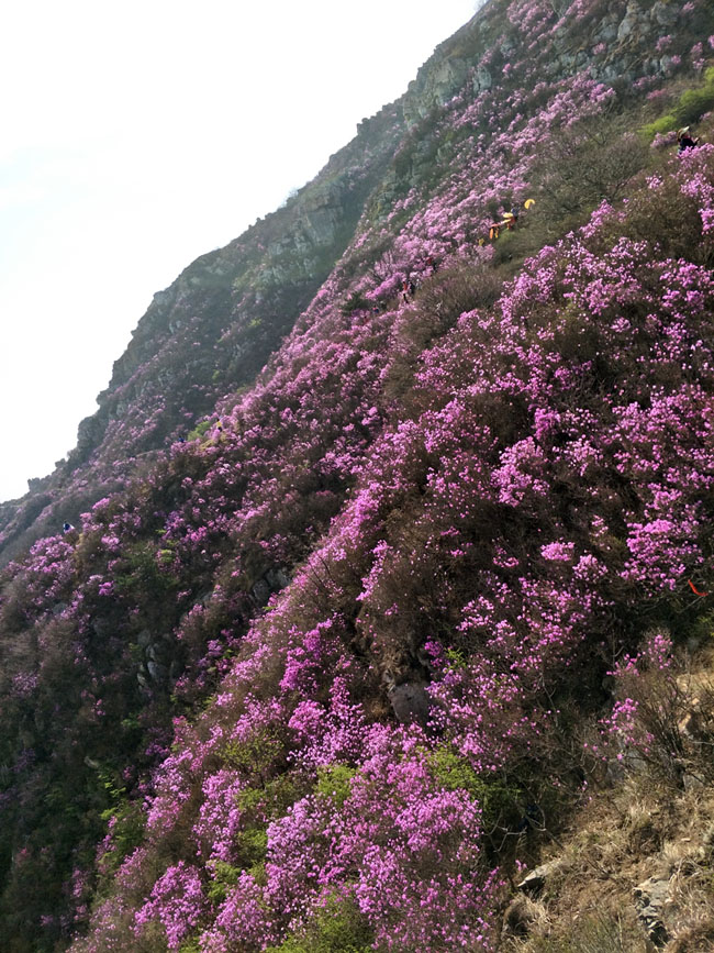 永信贵宾会217·(中国区)官网