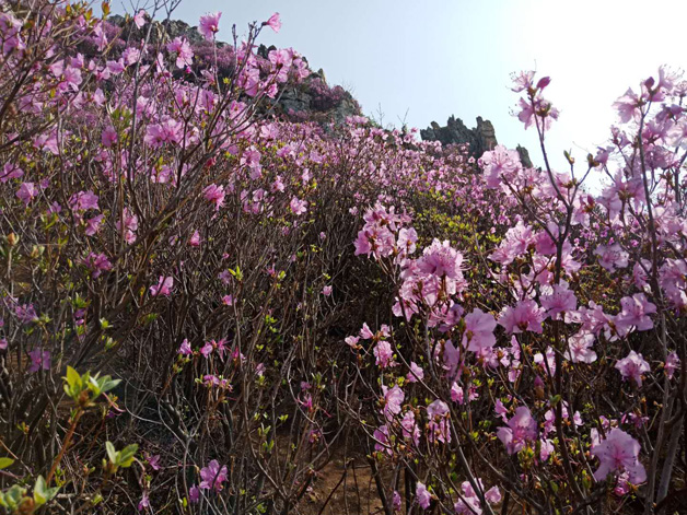 永信贵宾会217·(中国区)官网